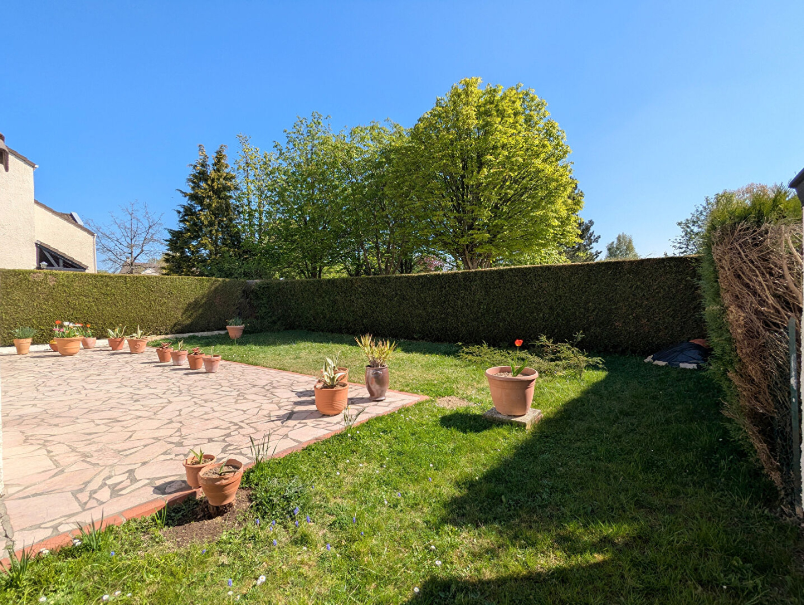 Image_, Maison, Montigny-le-Bretonneux, ref :8778