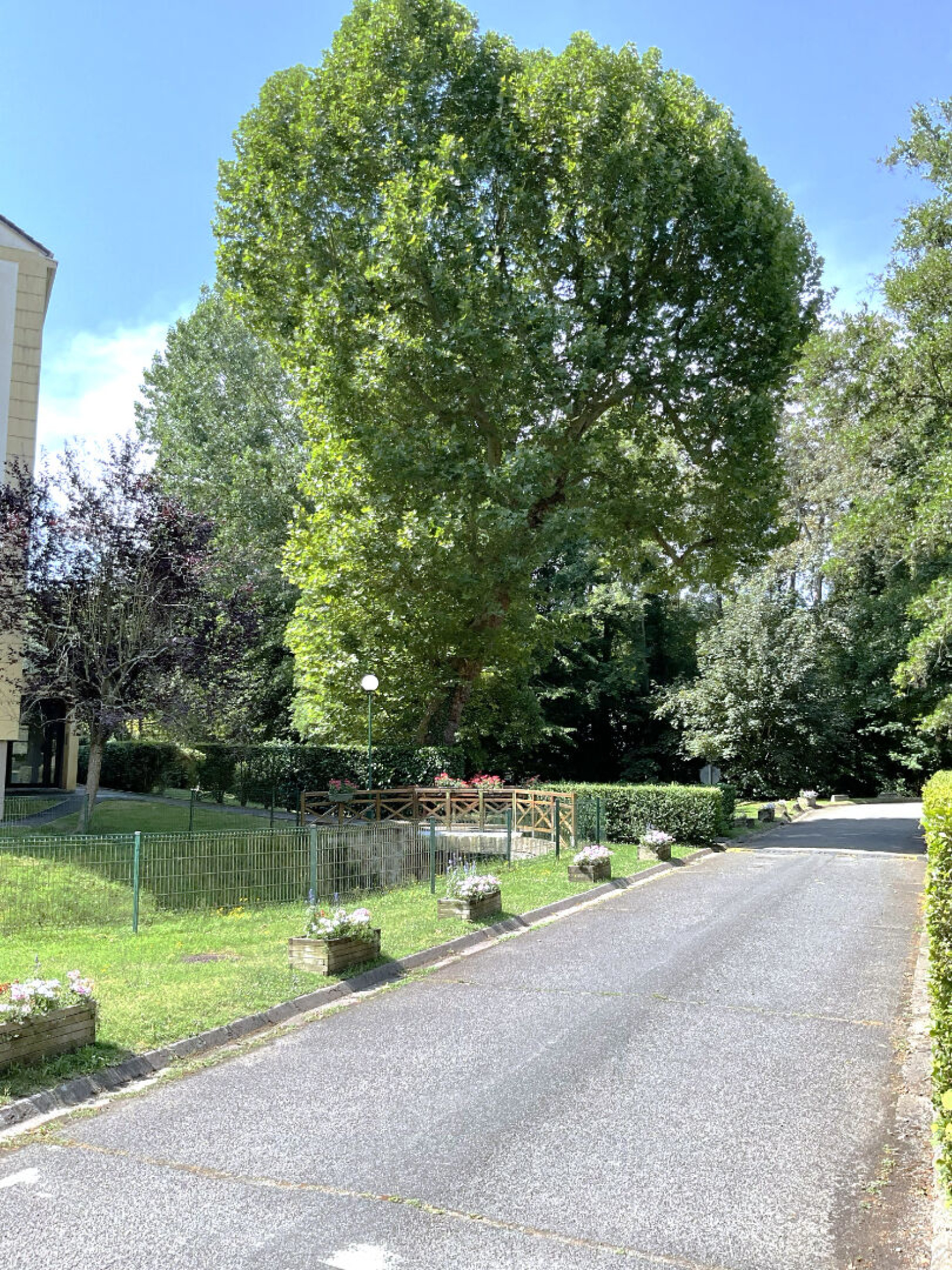 Image_, Appartement, Buc, ref :8961