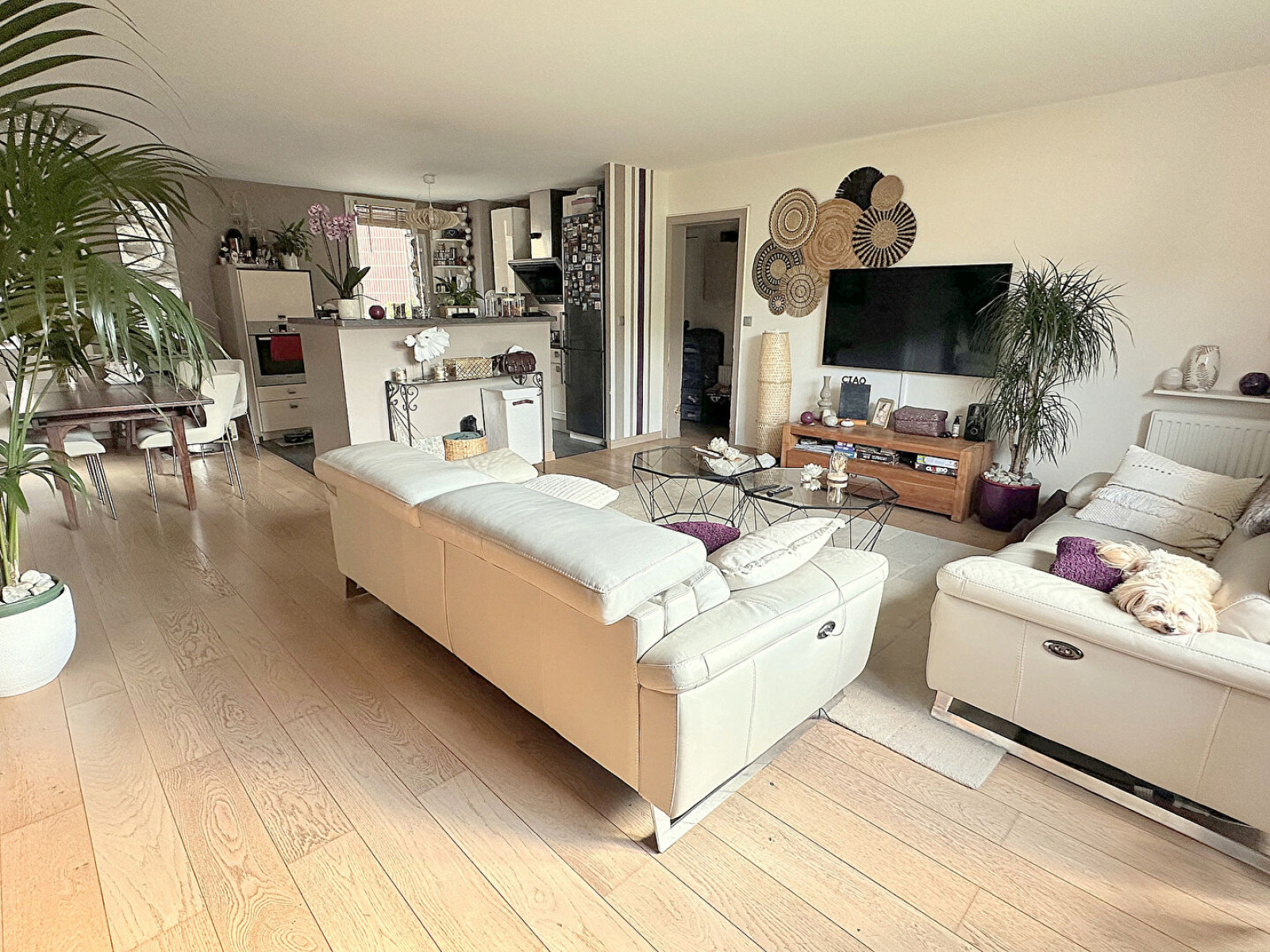Image_, Appartement, Montigny-le-Bretonneux, ref :8792